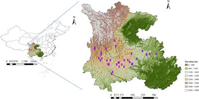 A Novel Multi-Preprocessing Integration Method for the Qualitative and Quantitative Assessment of Wild Medicinal Plants: Gentiana rigescens as an Example